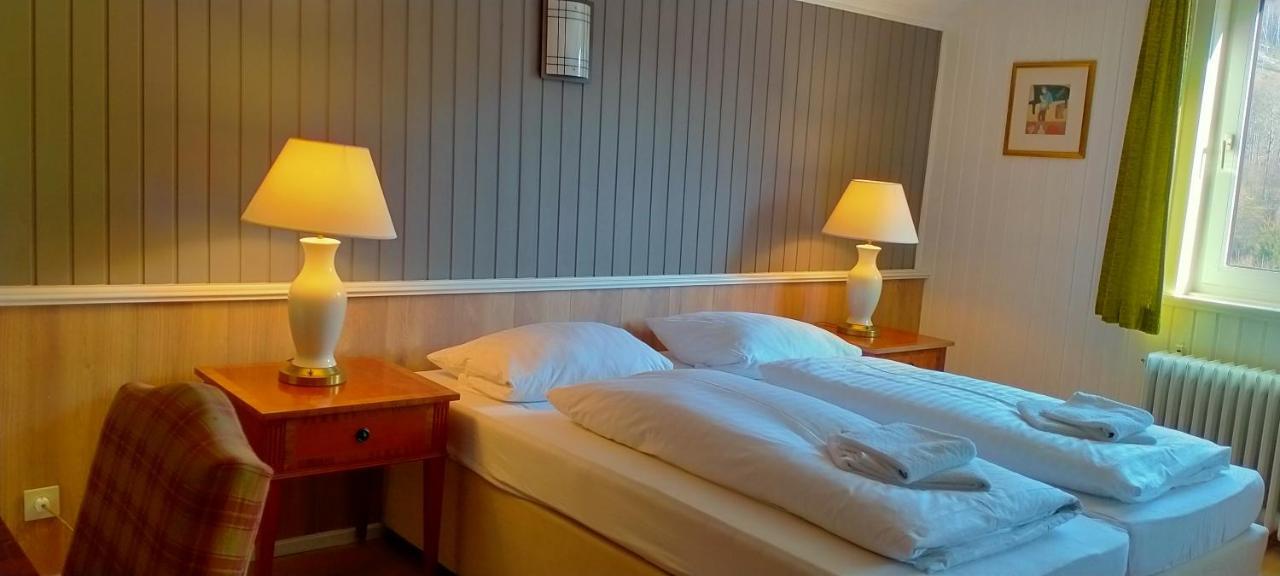 Waldhaus Im Okertal Hotel Гослар Екстериор снимка