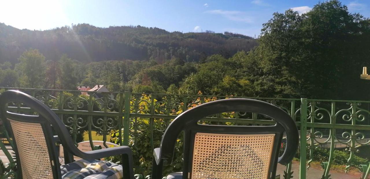 Waldhaus Im Okertal Hotel Гослар Екстериор снимка