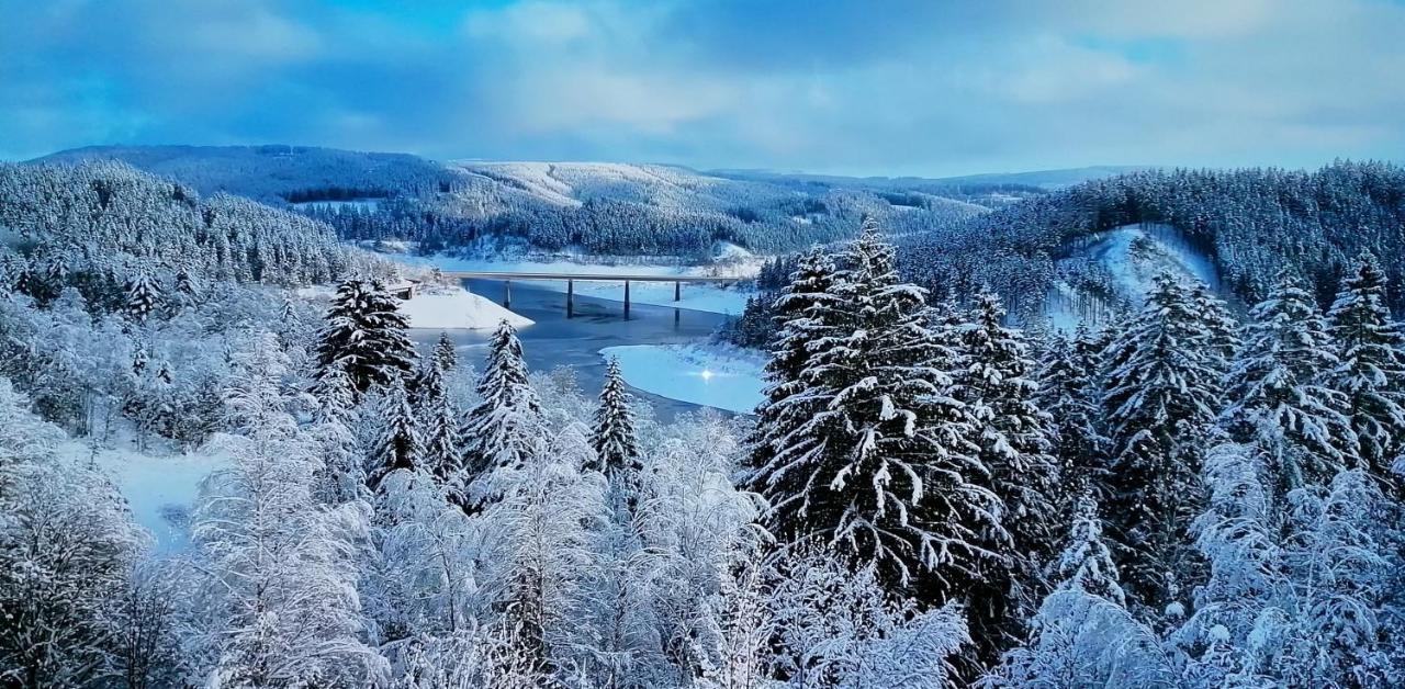 Waldhaus Im Okertal Hotel Гослар Екстериор снимка