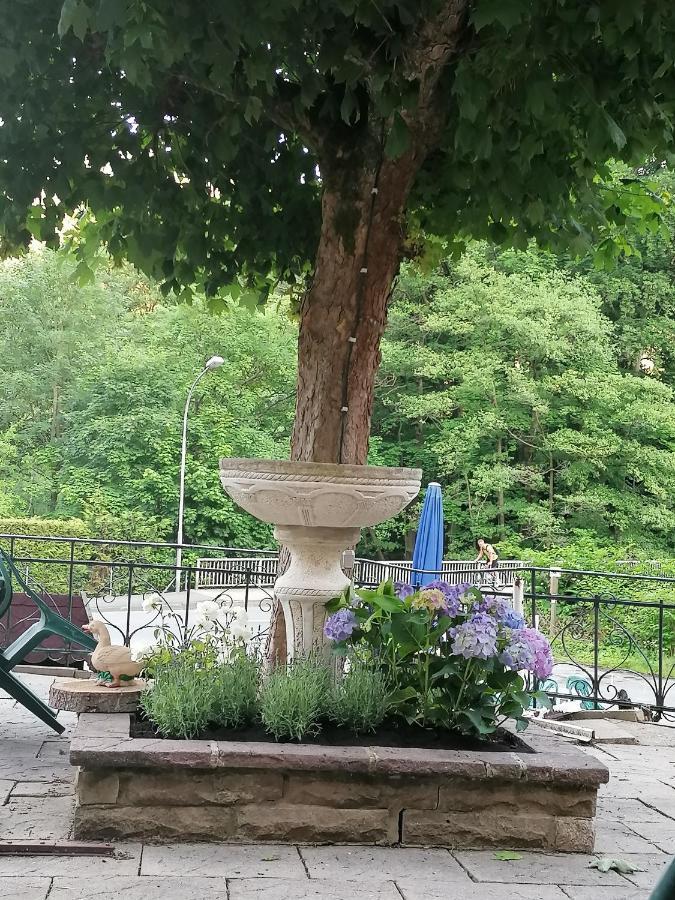 Waldhaus Im Okertal Hotel Гослар Екстериор снимка