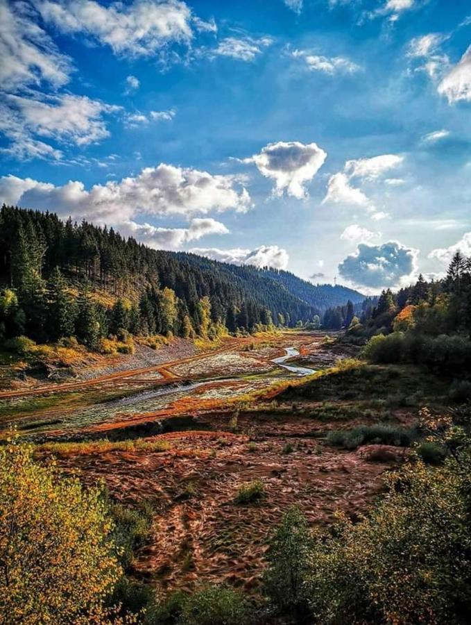 Waldhaus Im Okertal Hotel Гослар Екстериор снимка