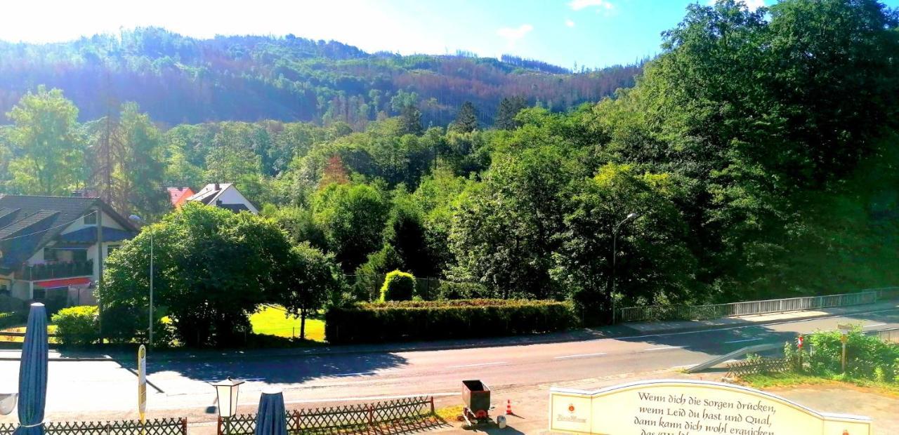 Waldhaus Im Okertal Hotel Гослар Екстериор снимка