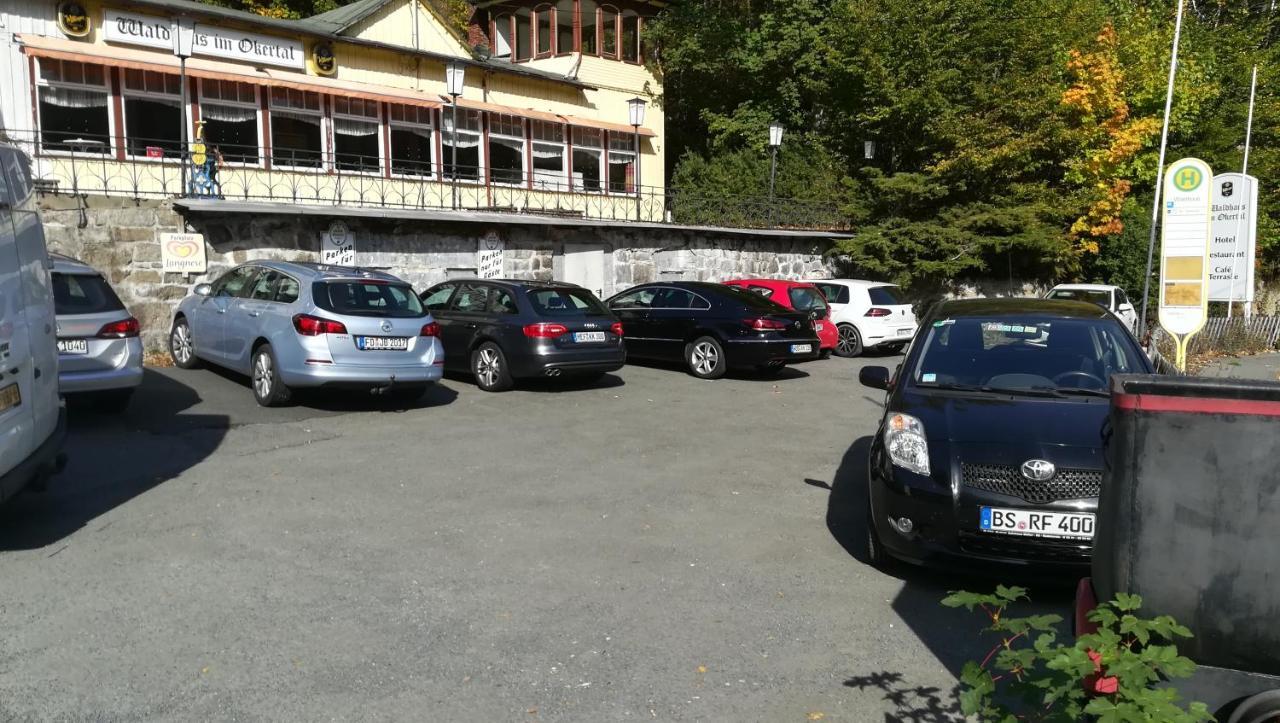 Waldhaus Im Okertal Hotel Гослар Екстериор снимка
