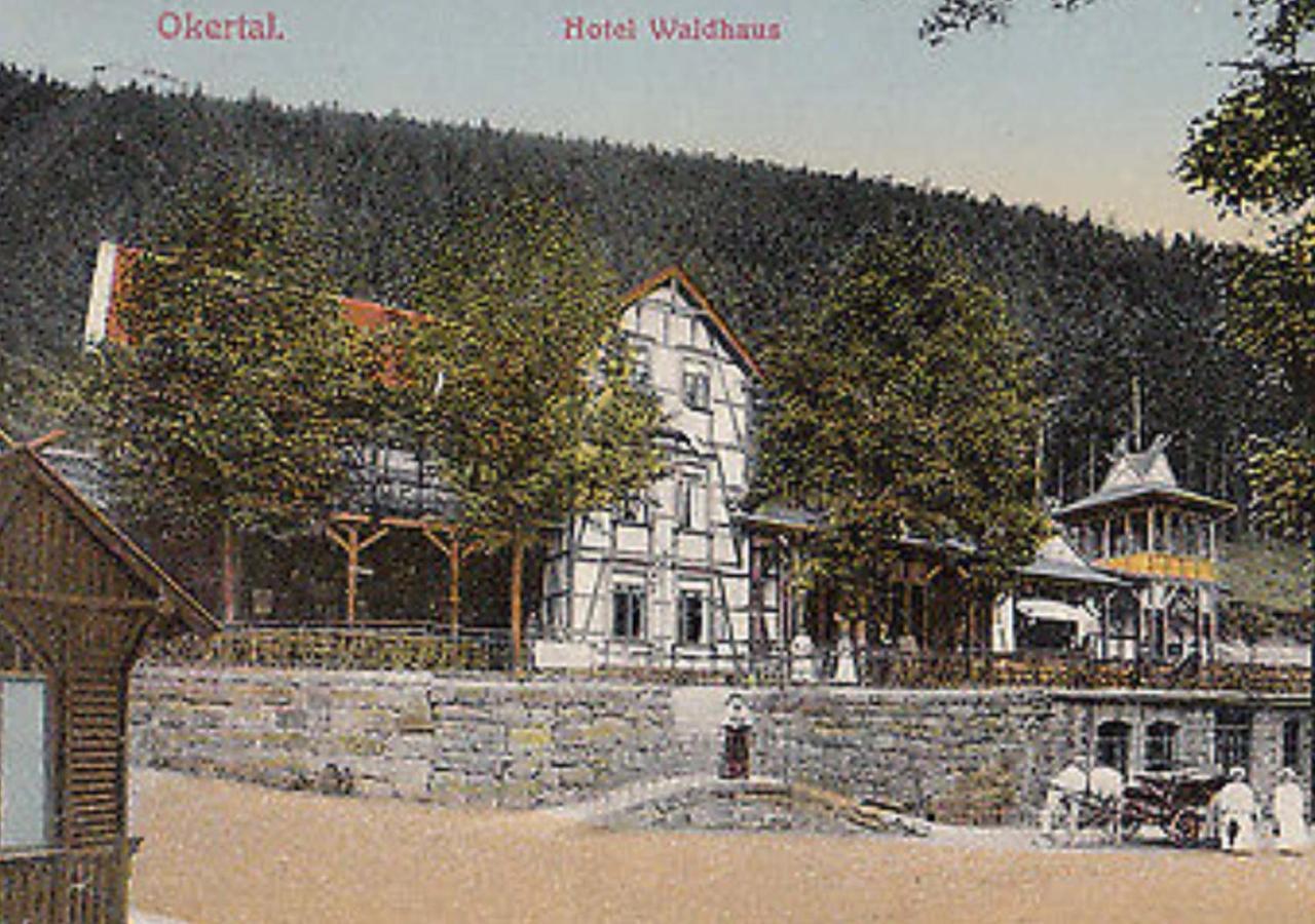 Waldhaus Im Okertal Hotel Гослар Екстериор снимка